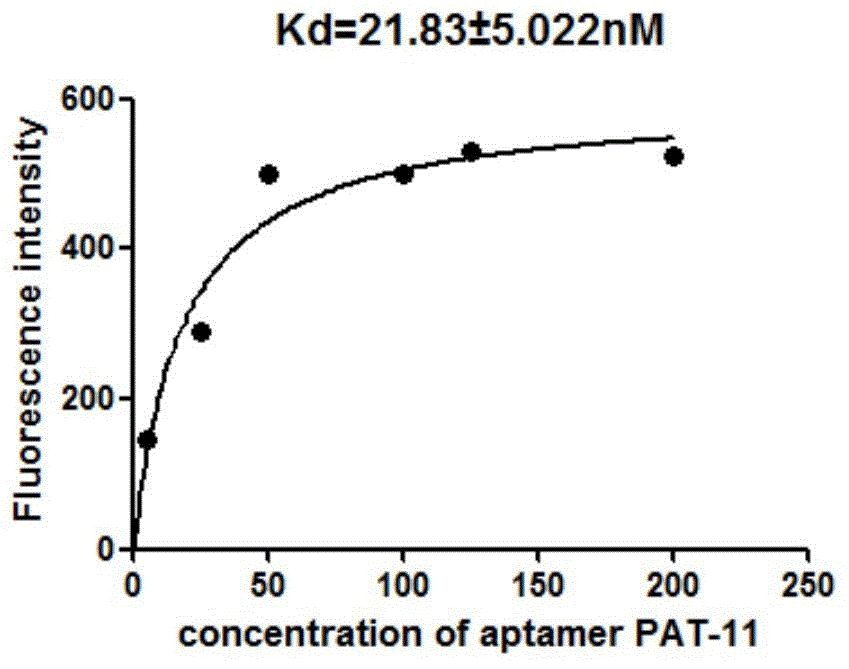 Oligonucleotide aptamer for specifically identifying patulin