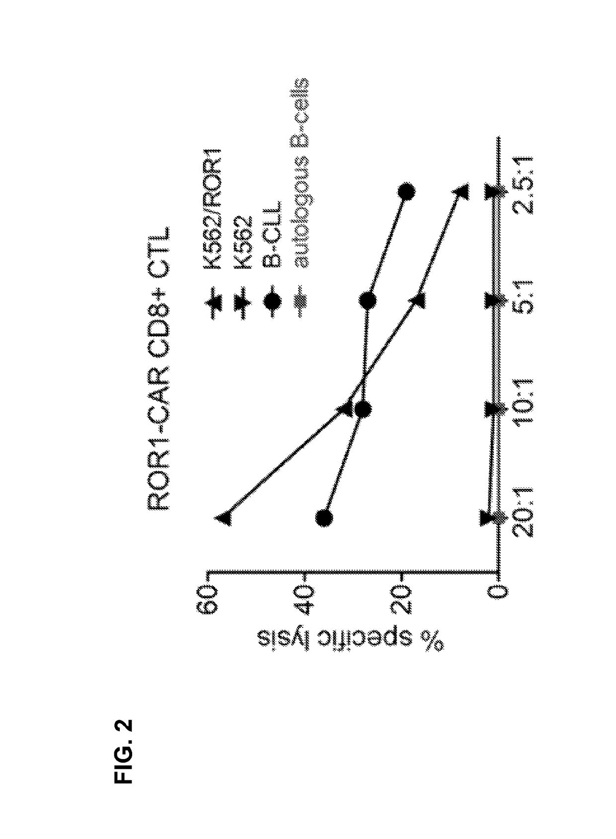 Method and compositions for cellular immunotherapy