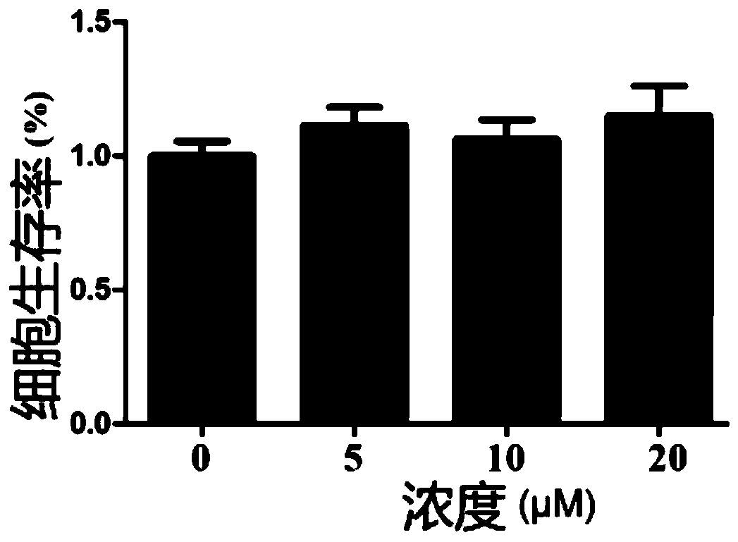 Application of myricetin and/or myricetin in the preparation of medicines for preventing and/or treating inflammatory bowel disease