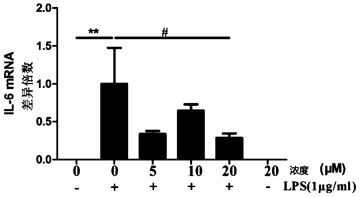 Application of myricetin and/or myricetin in the preparation of medicines for preventing and/or treating inflammatory bowel disease