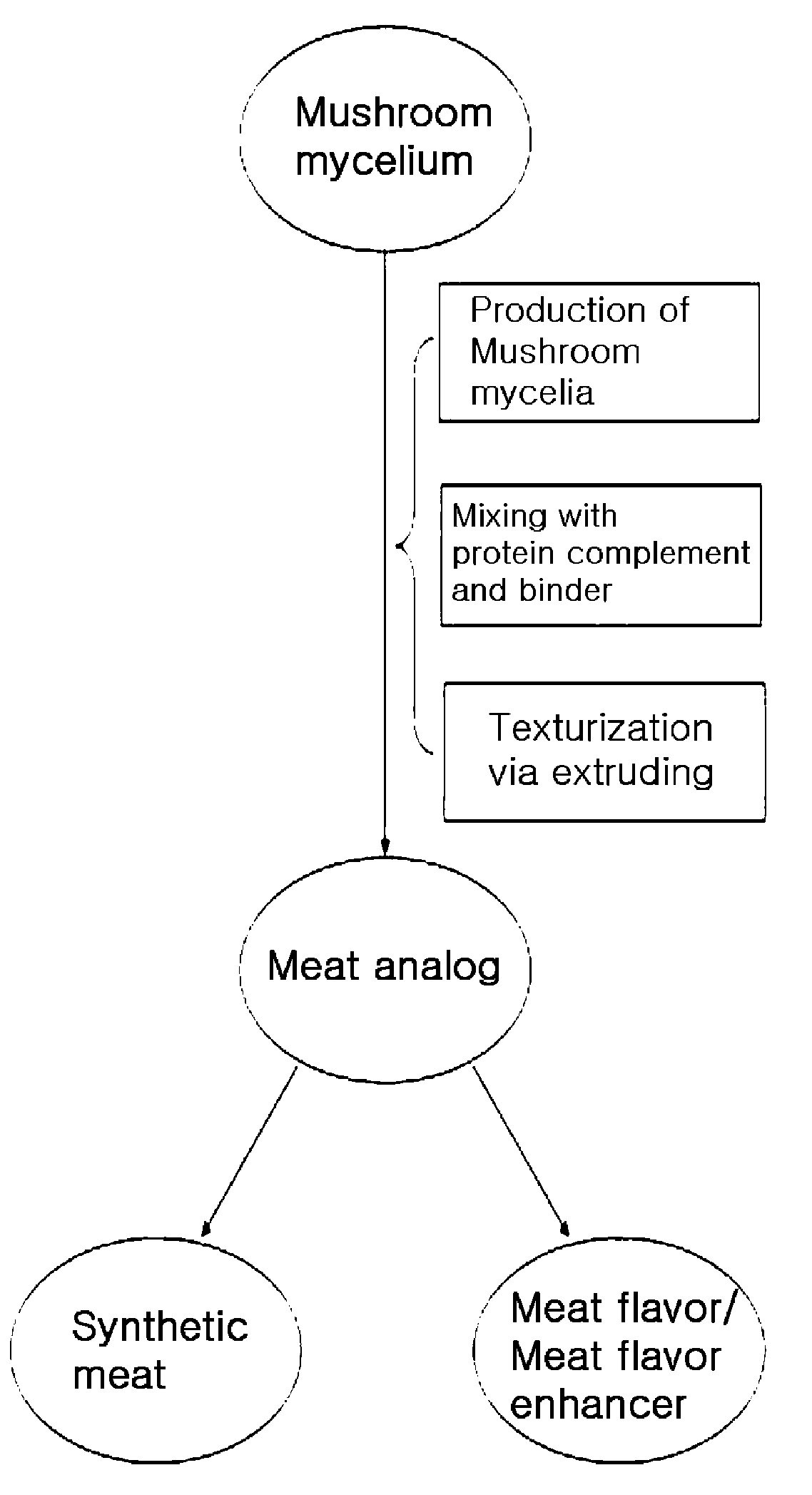 Method of producing mushroom mycelia based meat analog, meat analog produced thereby, low calorie synthetic meat, meat flavor and meat flavor enhancer comprising the meat analog