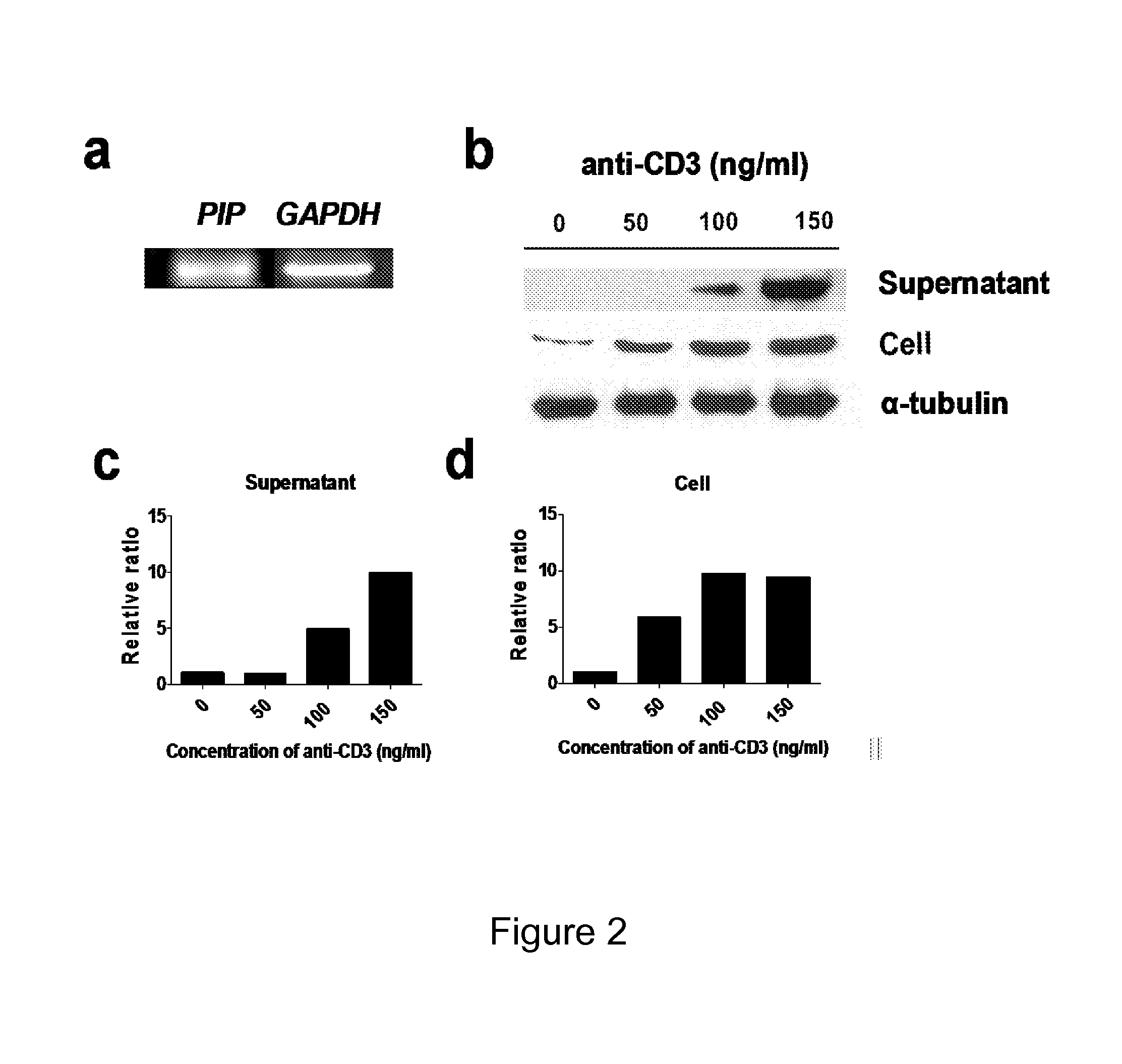 METHOD FOR GENERATION OF REGULATORY T-CELLS USING FACTORS SECRETED BY iNKT CELLS