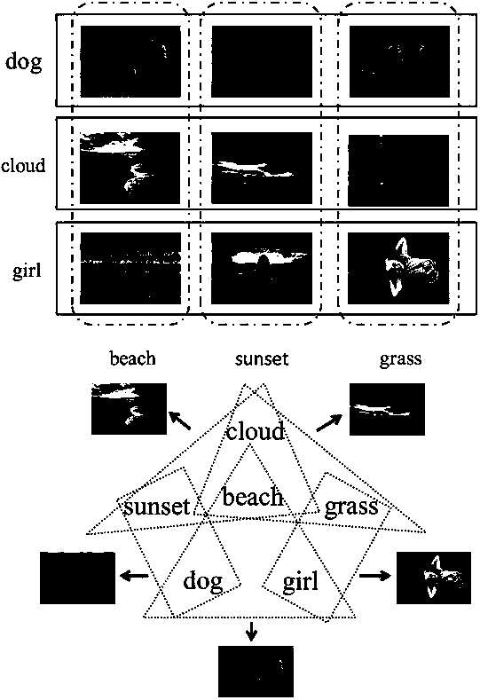 Cross-modal image-label correlation learning method for social images