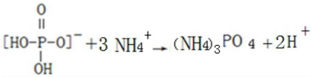 A kind of production method for preparing ammonium phosphate by-product longan special fertilizer