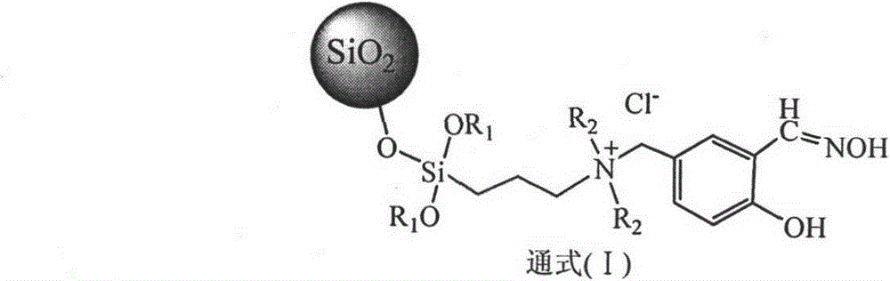 Silica gel extraction agent containing quaternary ammonium positive ions and salicylaldoxime