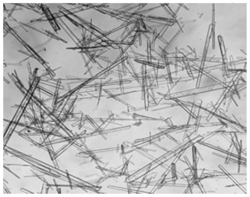 Method for producing calcium sulfate whiskers by using high-chlorine wastewater generated in bone gelatin production