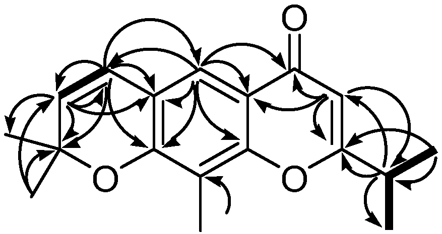 Chromone derivative extracted from Cassia leschenaultiana as well as preparation method and application of chromone derivative