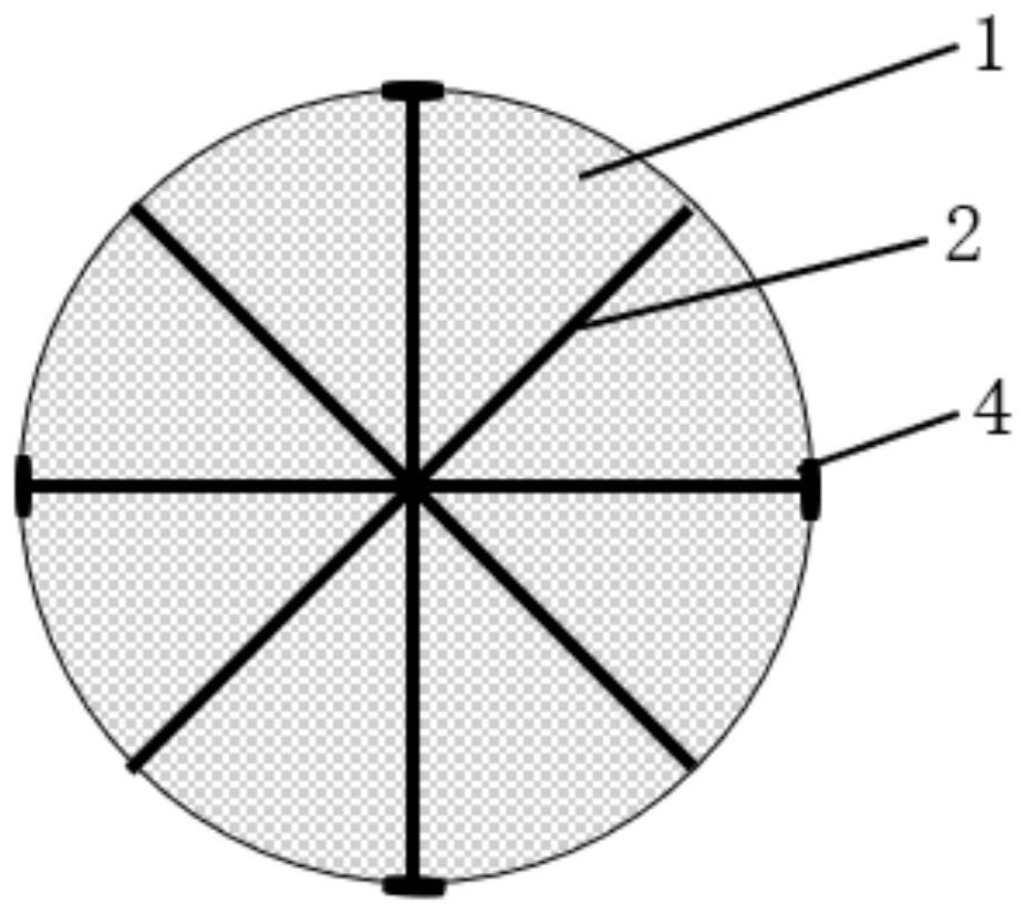 Device for collecting young field snails in rice field and using method of device