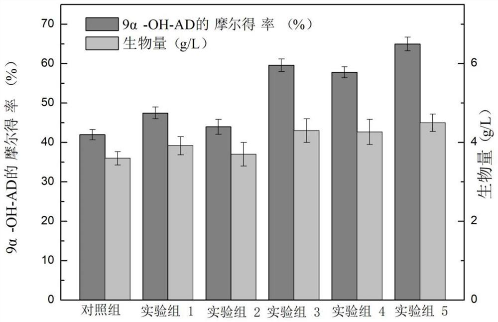 Construction method and application of a kind of mycobacterium genetically engineered bacteria