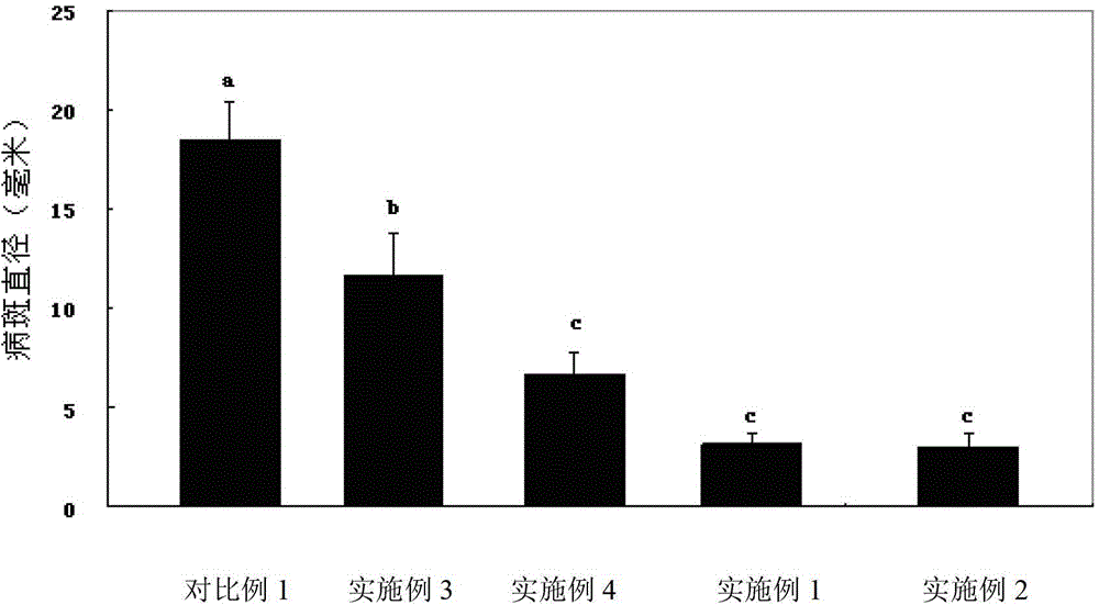 Method for improving fruit disease control effectiveness of antagonisitic yeast