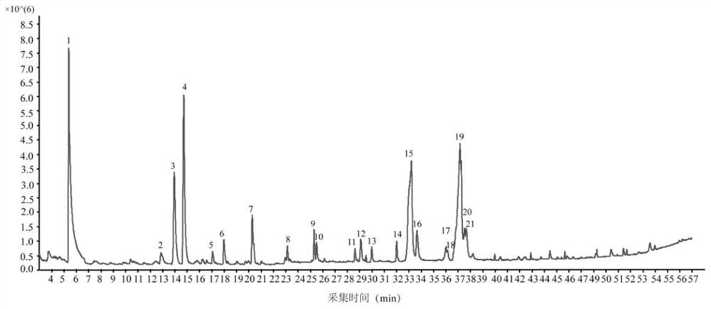 Grapefruit oil with cowpea aphid insecticidal activity as well as insecticide and application thereof