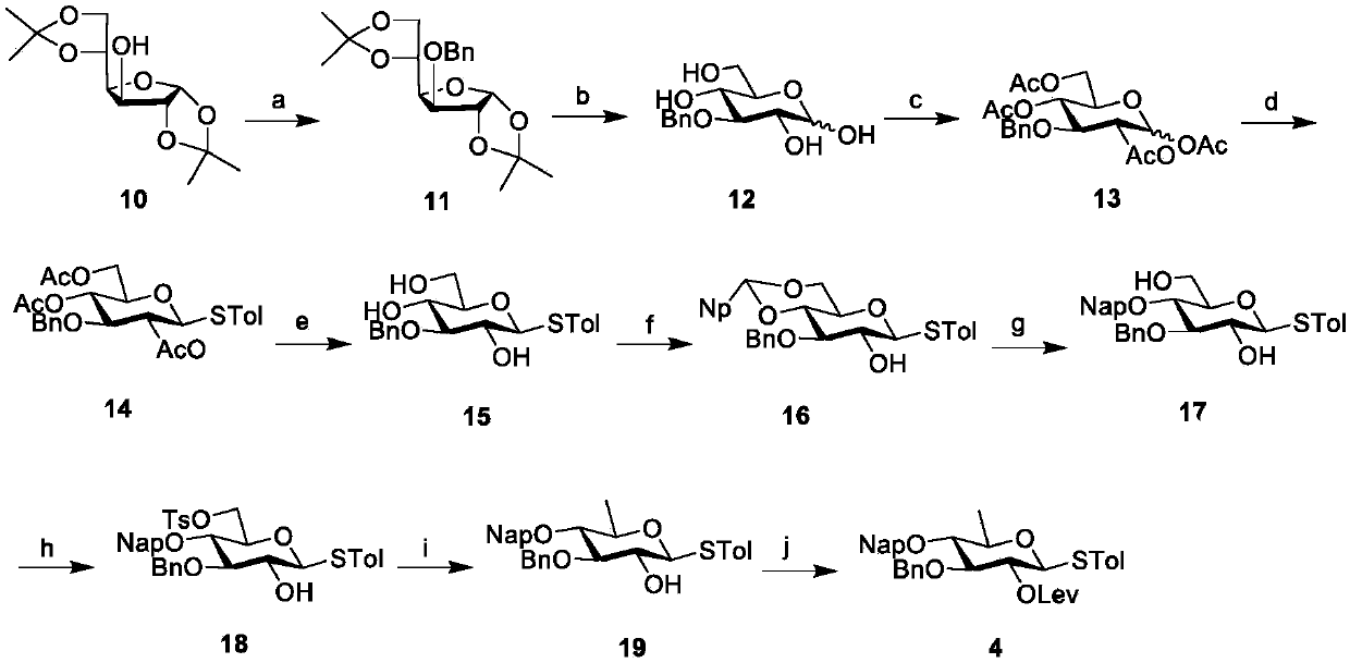 Preparation method of clostridium bolteae surface capsular polysaccharide structure derivative