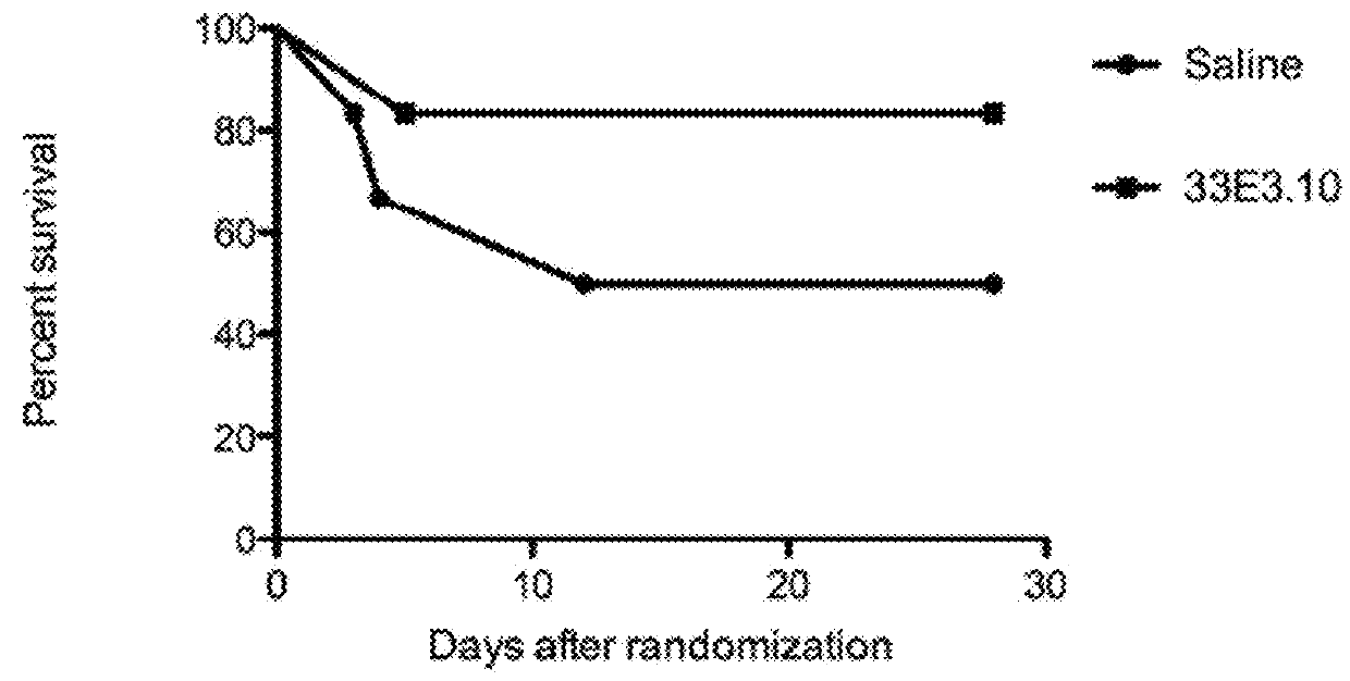 Immunoglobulin-like molecules directed against fibronectin-eda