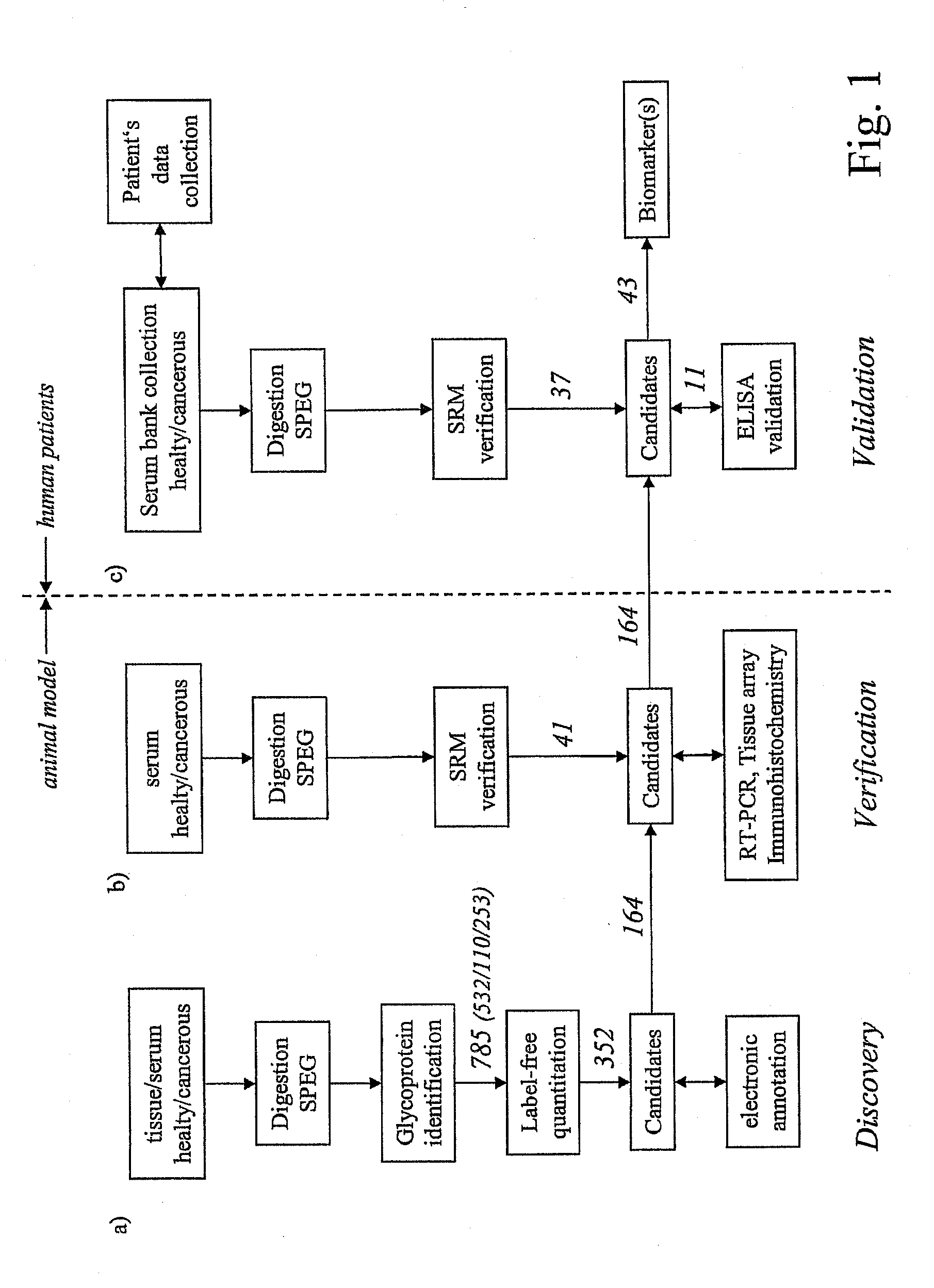 Method for biomarker and drug-target discovery for prostate cancer diagnosis and treatment as well as biomarker assays determined therewith