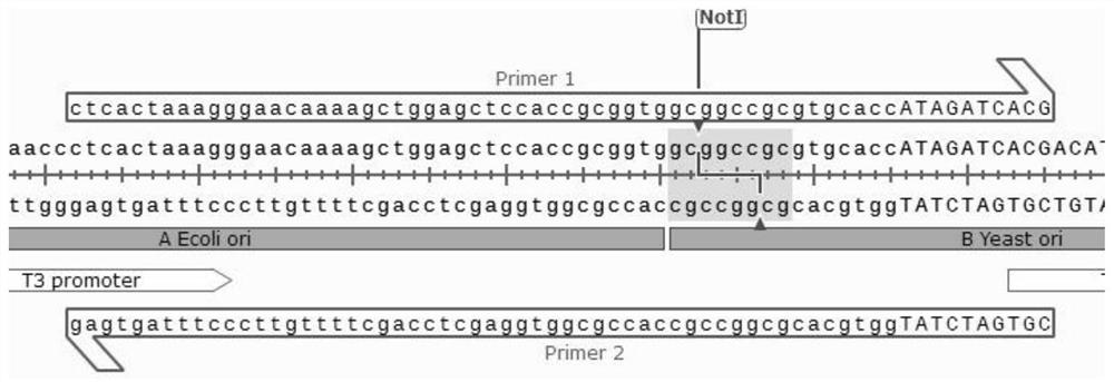 Non-homology, multi-long-fragment, high-efficiency and zero-background assembly method