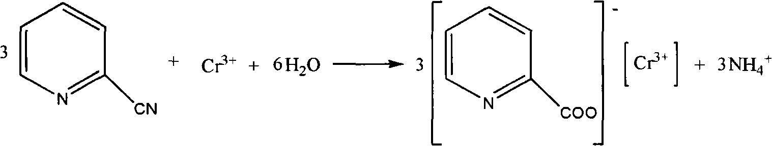 Synthesis process for chromium picolinate