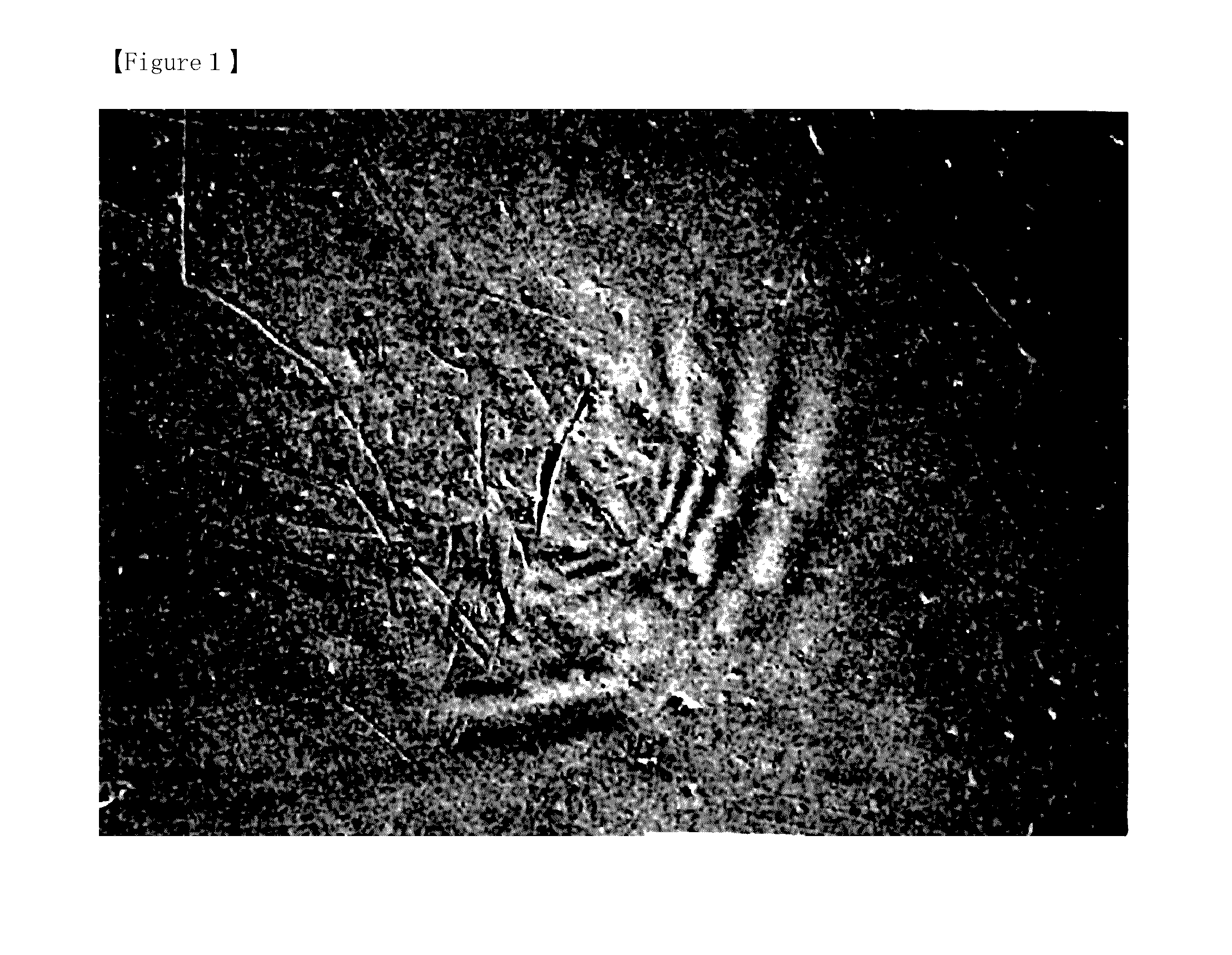 Method for producing a wet-laid nonwoven fabric