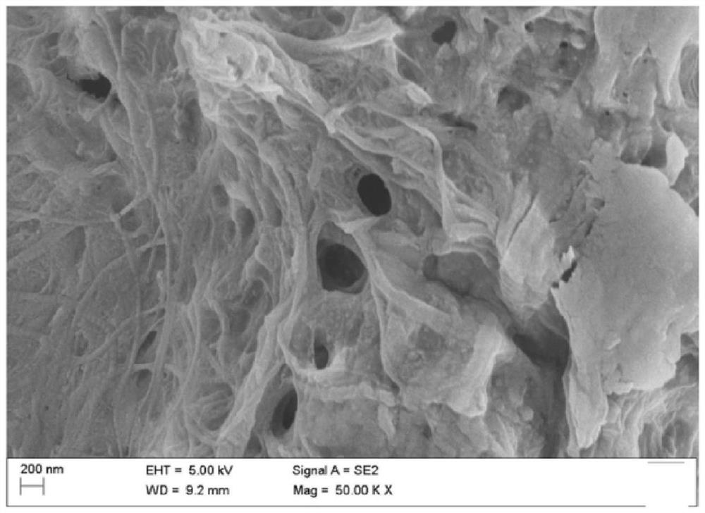 Preparation and application method of double network hydrogel for tumor microsphere invasion detection