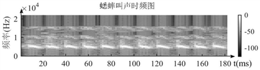 A camouflaged covert communication structure and method based on cricket calls