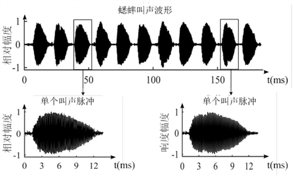 A camouflaged covert communication structure and method based on cricket calls