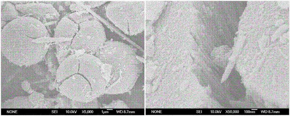 Noble metal directional loaded titanium dioxide photocatalyst and preparation method thereof