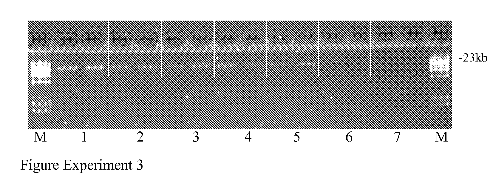 Method and materials for triggered release of a biological sample