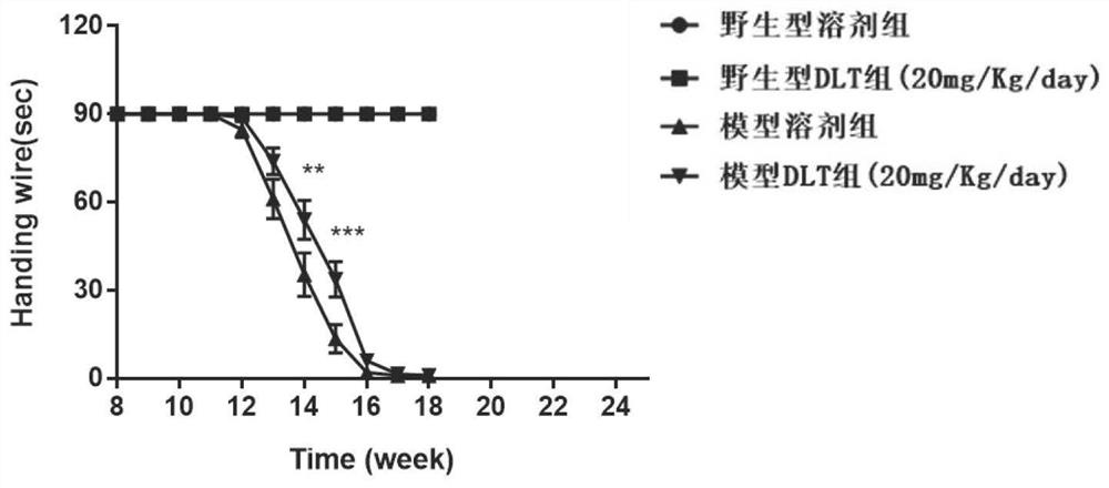 Application of Desloratadine and salts thereof in preparation of drugs for treating neurodegenerative diseases related to dyskinesia