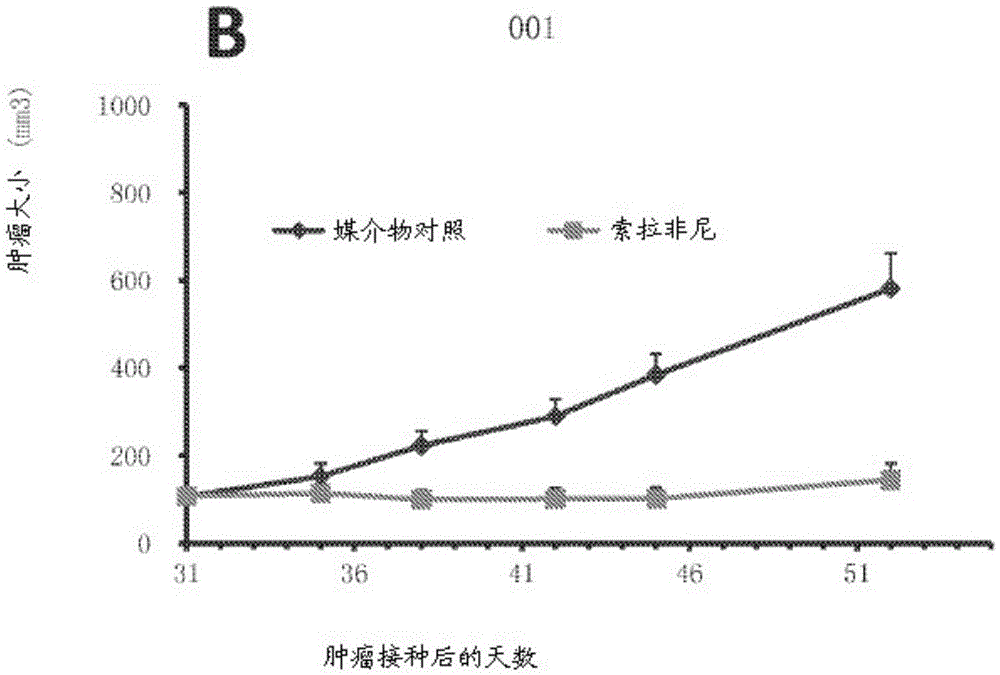 Gene expression signatures predictive of subject response to a multi-kinase inhibitor and methods of using the same