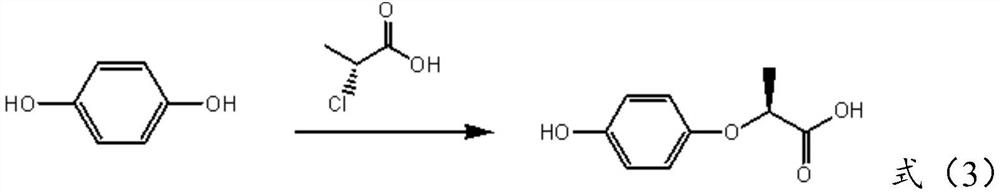 Preparation method of (R)-(+)-2-(4-hydroxyphenoxy) propionic acid