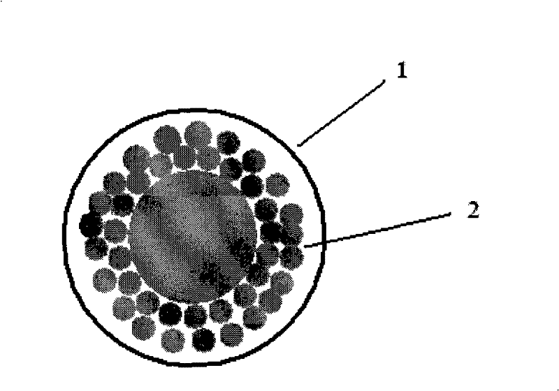 Fluorescent nano-particle with composite silica shell structure and preparation thereof