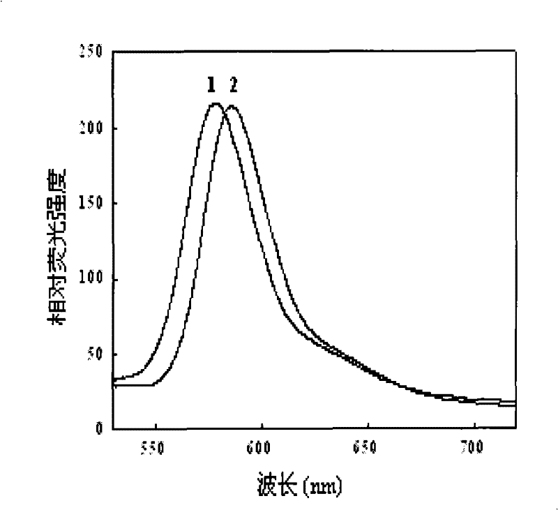 Fluorescent nano-particle with composite silica shell structure and preparation thereof