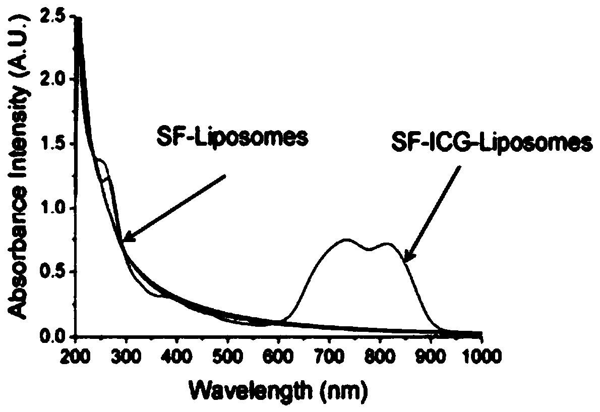Sorafenib solid lipid nanoparticles as well as preparation method and application thereof