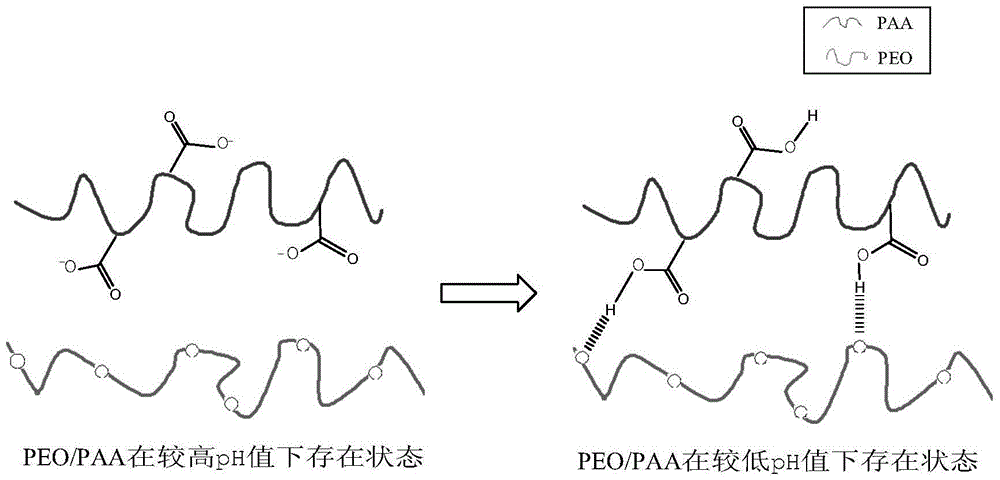 A kind of preparation method of macromolecular hydrogen bond composite fiber