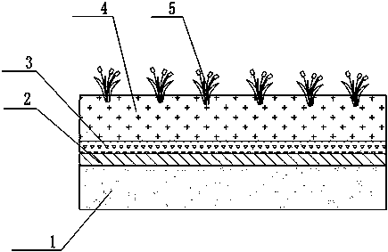 Heavy metal contaminated soil remediation device and isolated remediation method