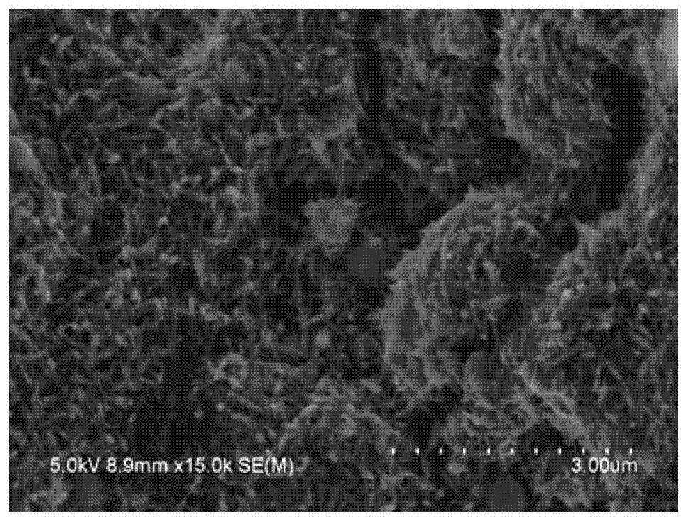 Two-pore zeolite microsphere and preparation method thereof