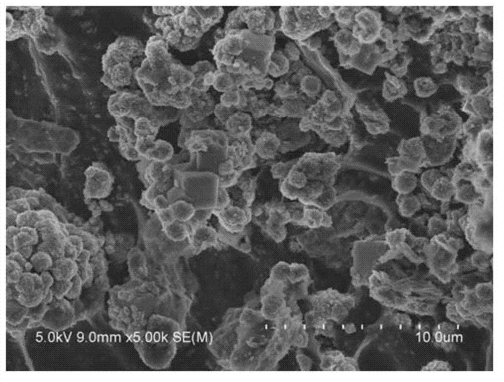Two-pore zeolite microsphere and preparation method thereof