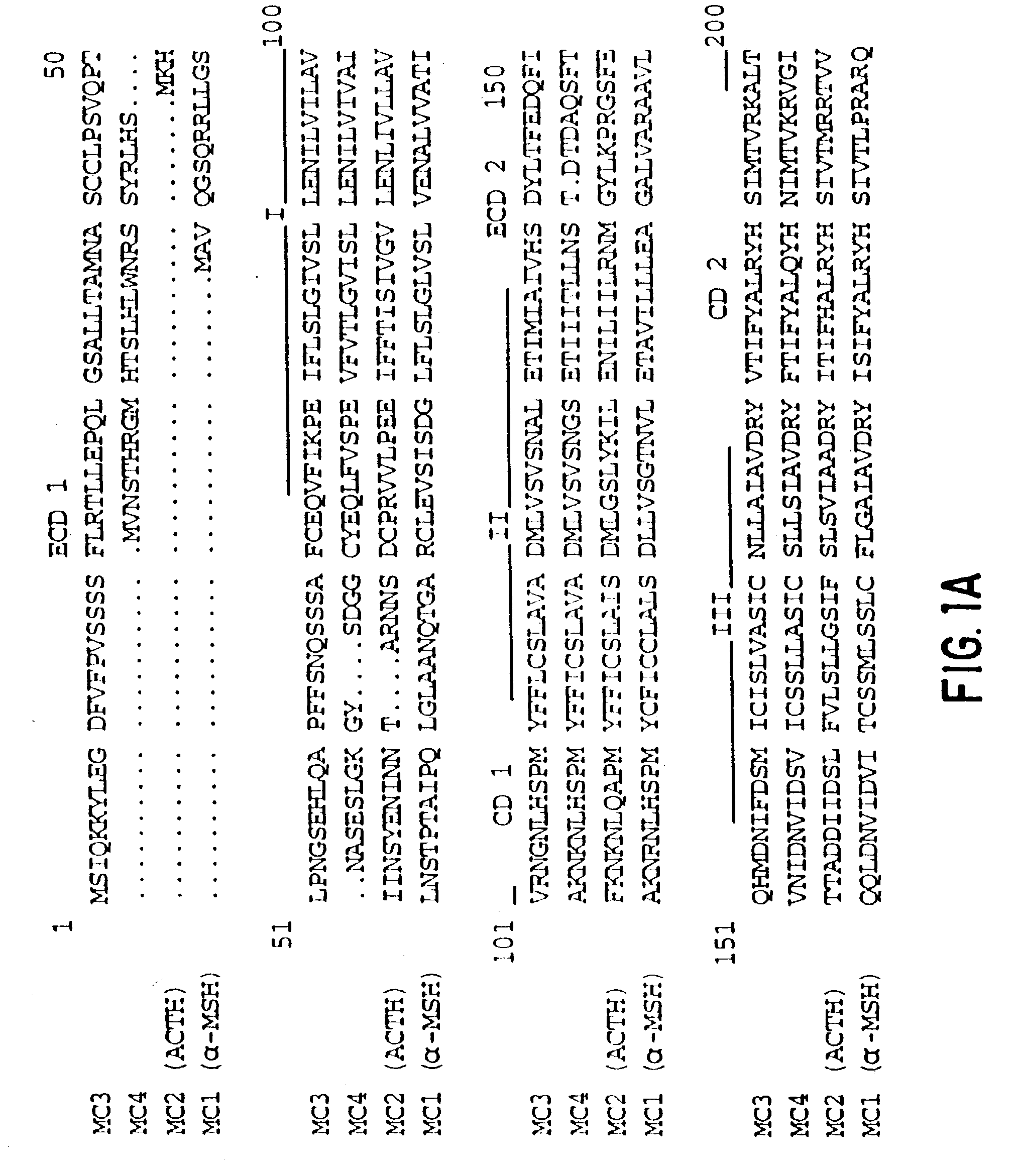 Screening methods for compounds useful in the regulation of body weight