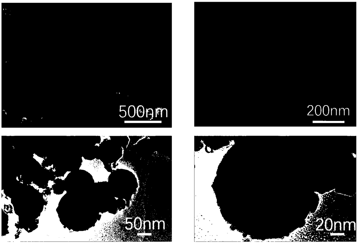 Magnetic nano drug carrier and application thereof