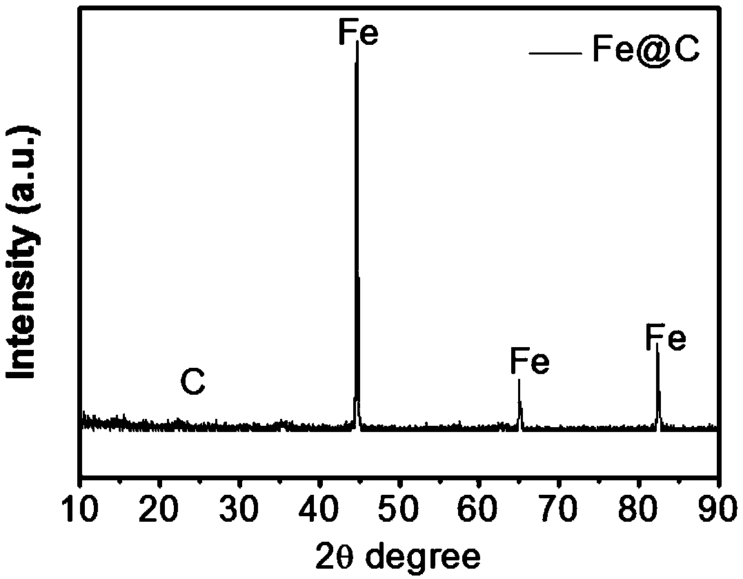 Magnetic nano drug carrier and application thereof