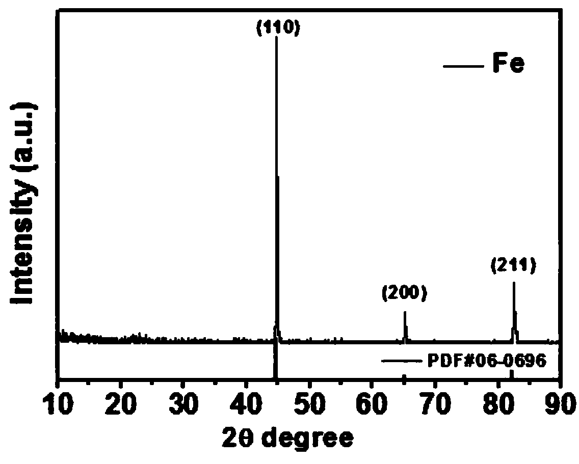 Magnetic nano drug carrier and application thereof