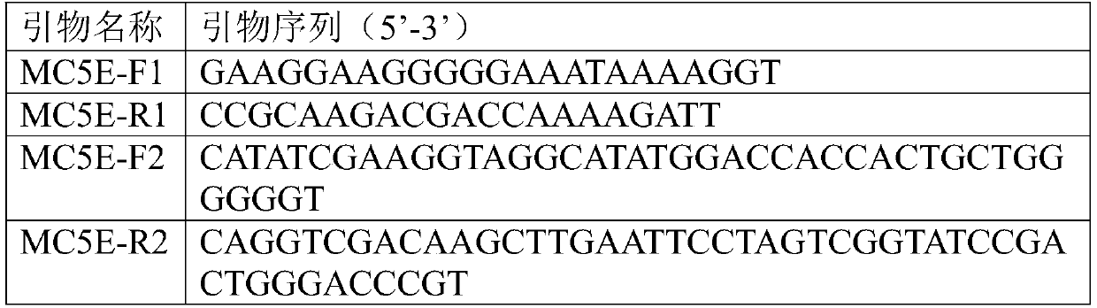 Gene of kelp mannuronic acid C5-isomerase and application of gene