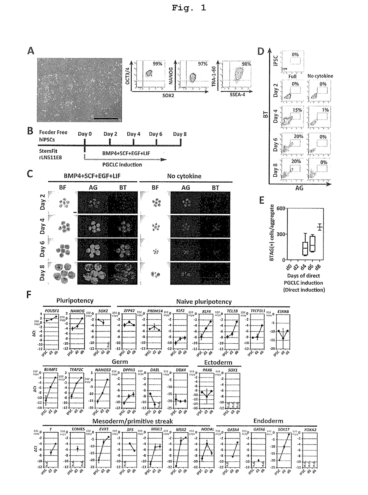 Method for inducing differentiation of pluripotent stem cells into germ cells