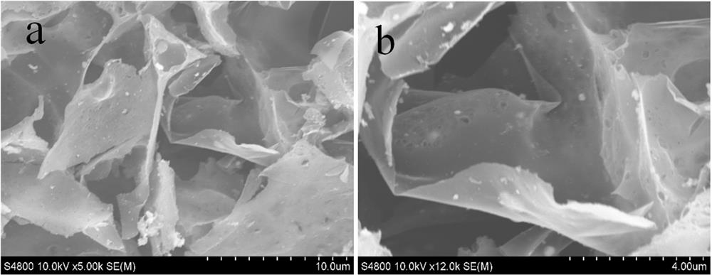 Preparation method of nitrogen, phosphorus and oxygen co-doped porous graphitized carbon nanosheet