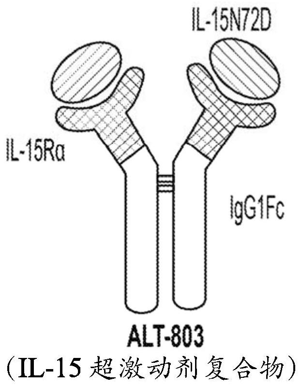 HIV treatment compositions and methods