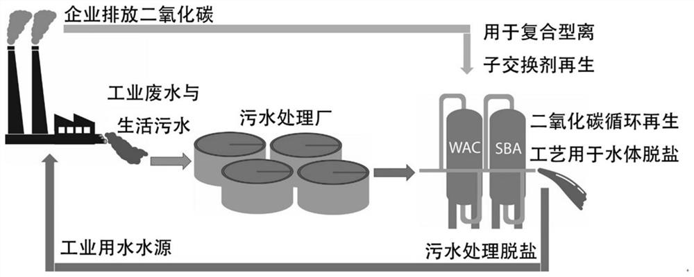 Circulating carbon dioxide regeneration ion exchange system and process for simultaneously realizing water body purification and carbon emission reduction