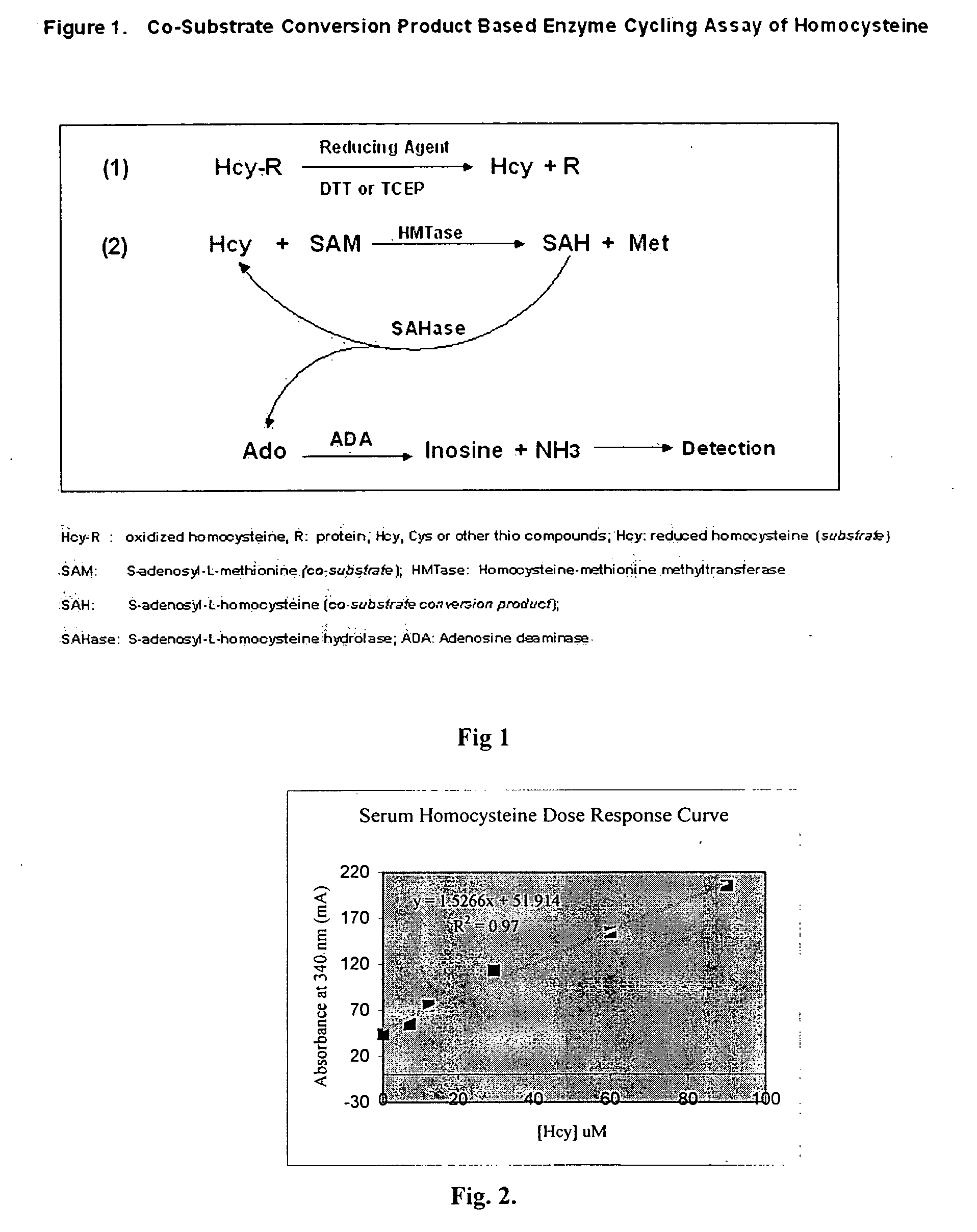 Methods and compositions for assaying homocysteine
