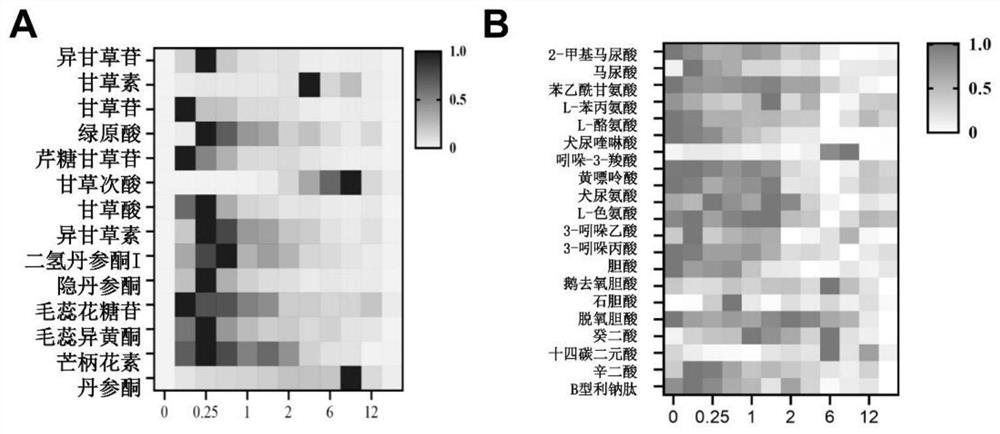 Pharmacokinetics-pharmacodynamics analysis method for treating chronic heart failure by using astragalus membranaceus and ginseng granules based on metabonomics