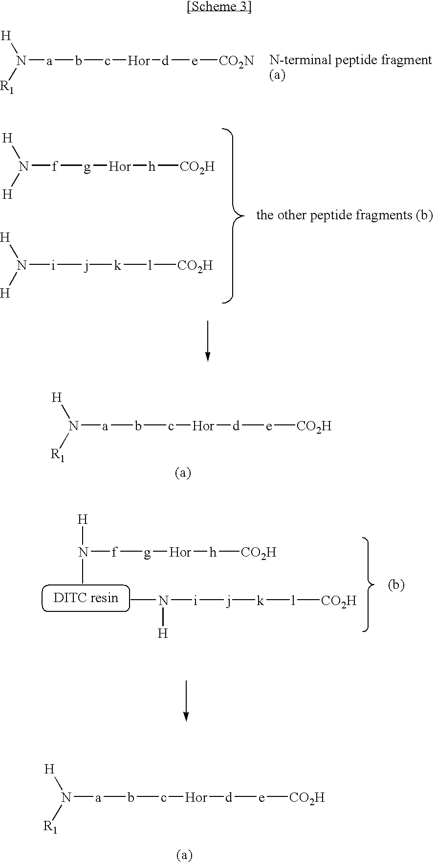 Method for selectively collecting N-terminal peptide fragment of protein