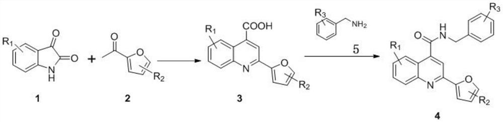 2-furanyl-quinoline-4-formamide compound and application thereof
