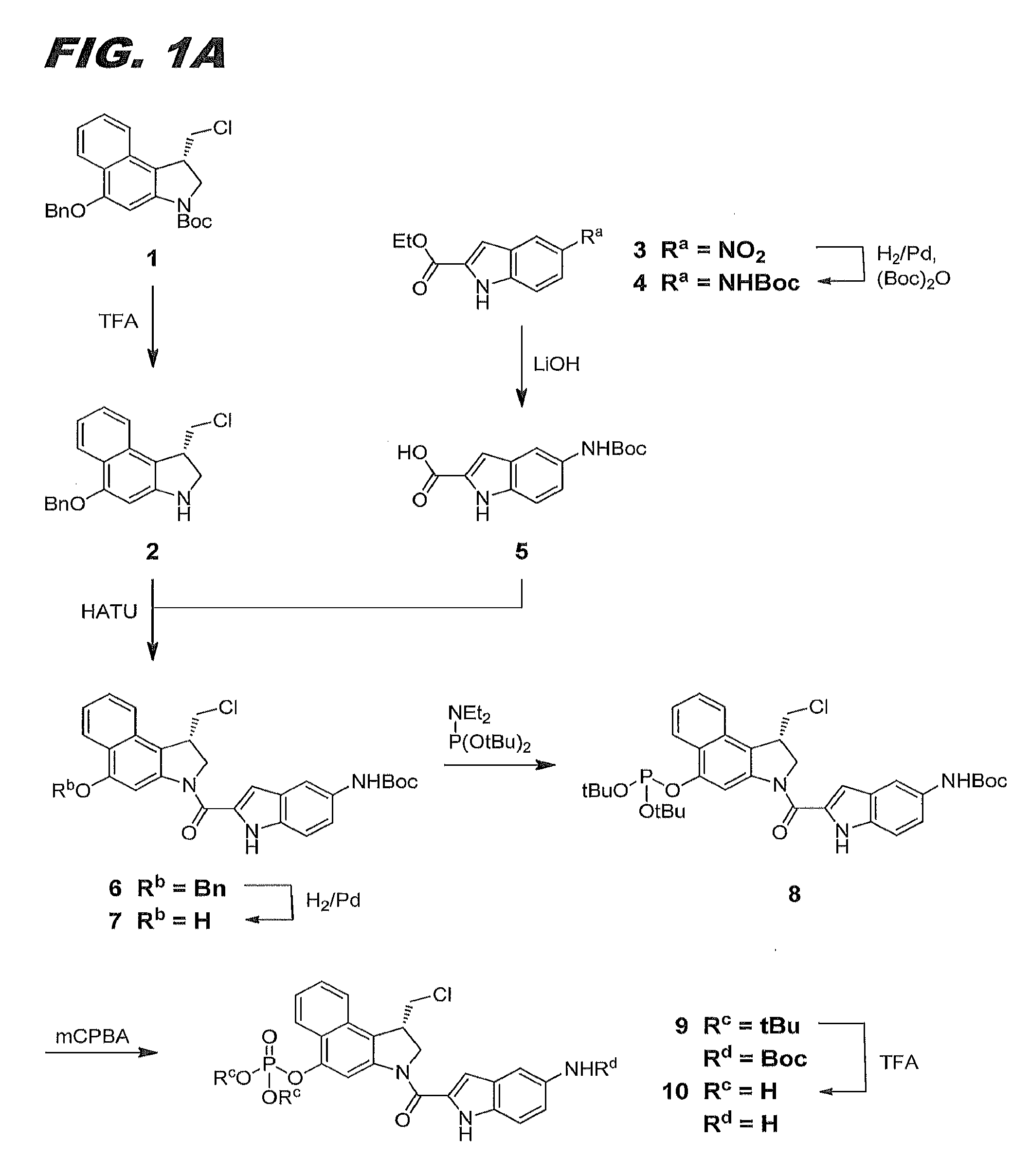 Immunoconjugates, compositions for making them, and methods of making and use